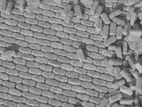 Juweela, Trockenmauer / Mauersteine Granit grau, Spur H0, 28416 - 28417, Made in Germany